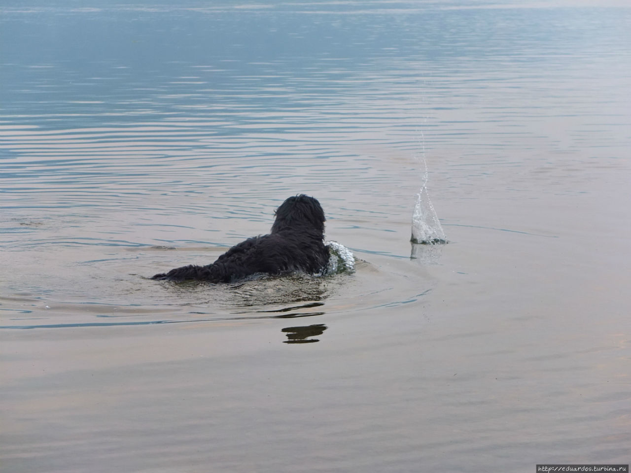 Вечер на Енисее Красноярск, Россия