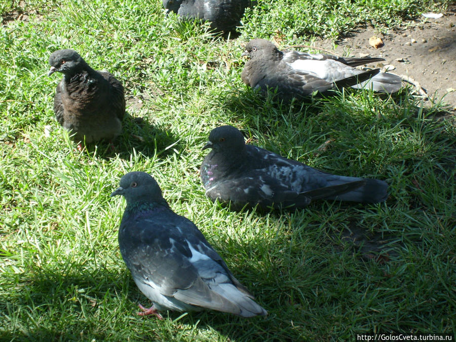 Ставрополь