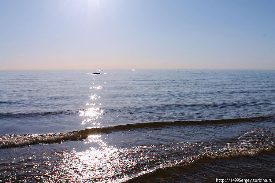 Синяя птица счастья