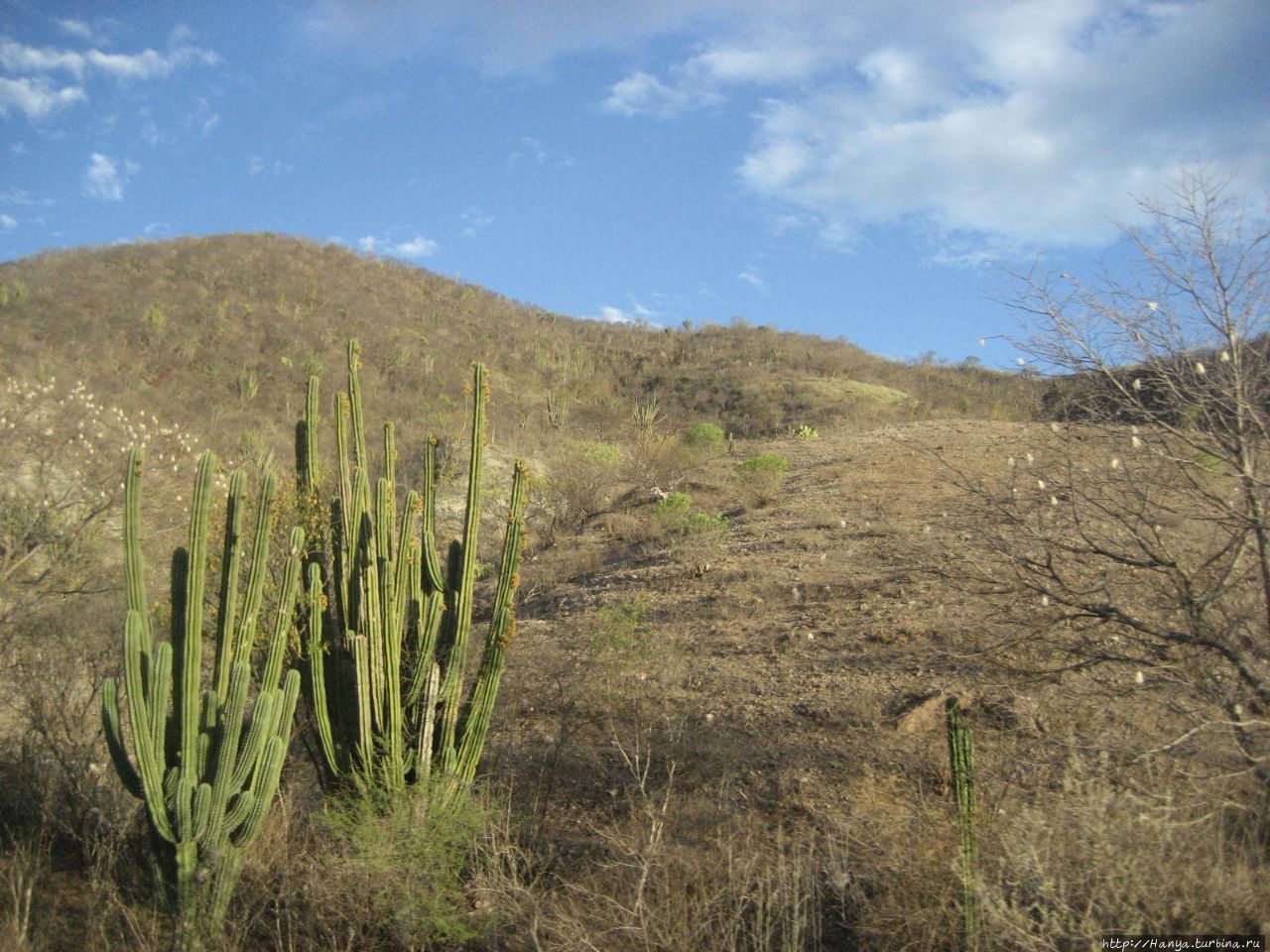 Сюрреалистические пейзажи за окном по пути в Теуантепек Ч.66 Мексика