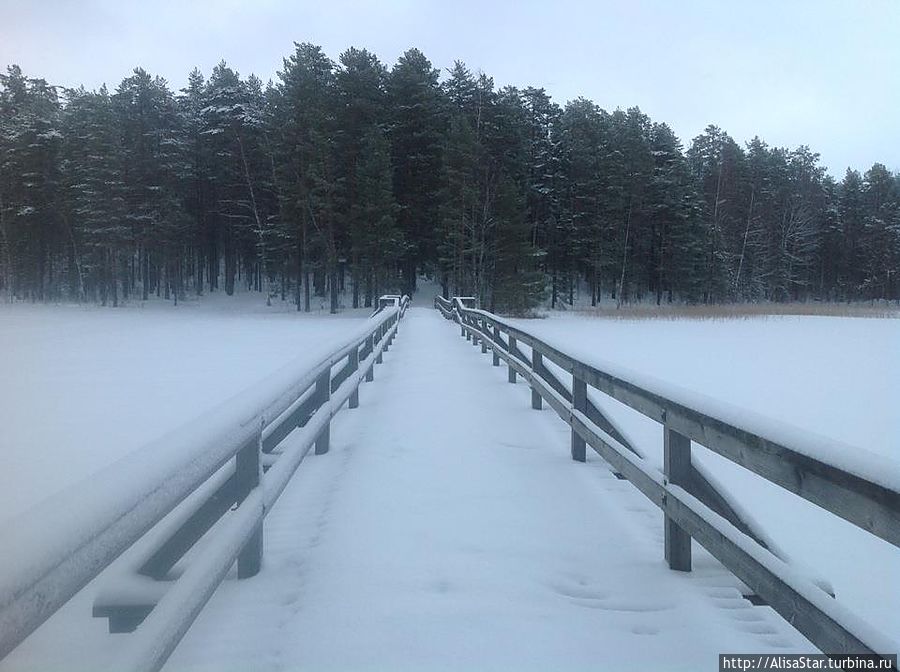 Центр отдыха Пункахарьюн Ломакескус Пункахарью, Финляндия