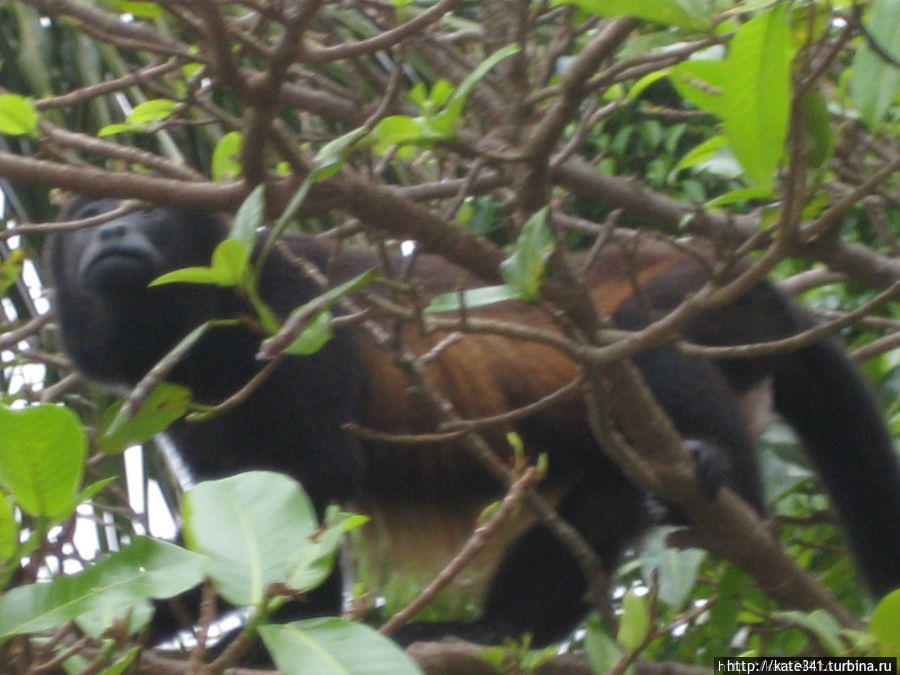Костариканский Самара-городок Самара, Коста-Рика