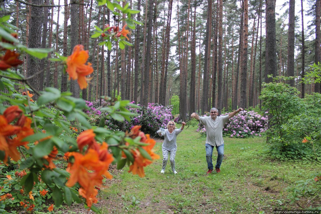 Вечного вам цветения, друзья! Рига, Латвия