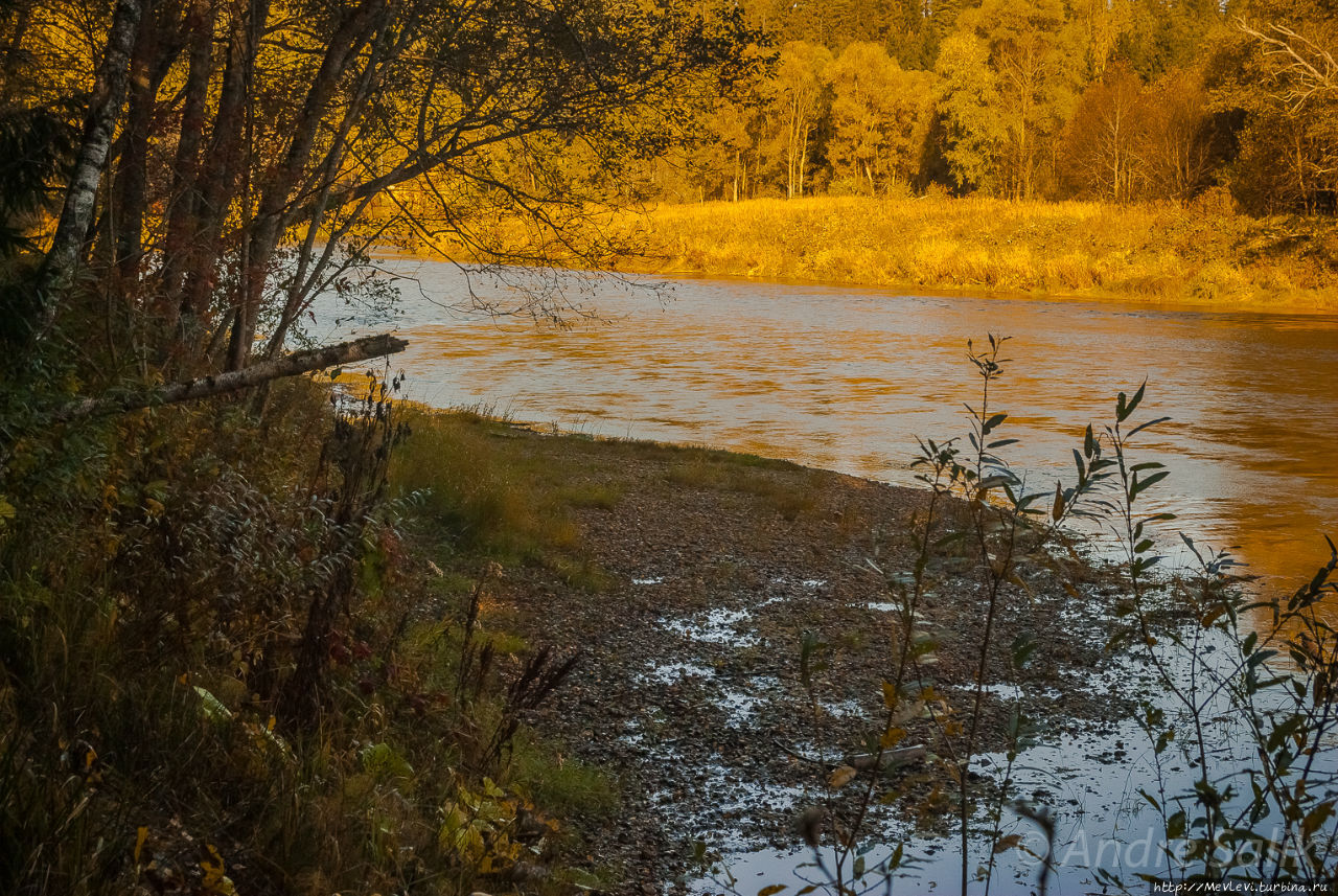 Утесы на реке Гауя Лигатне, Латвия