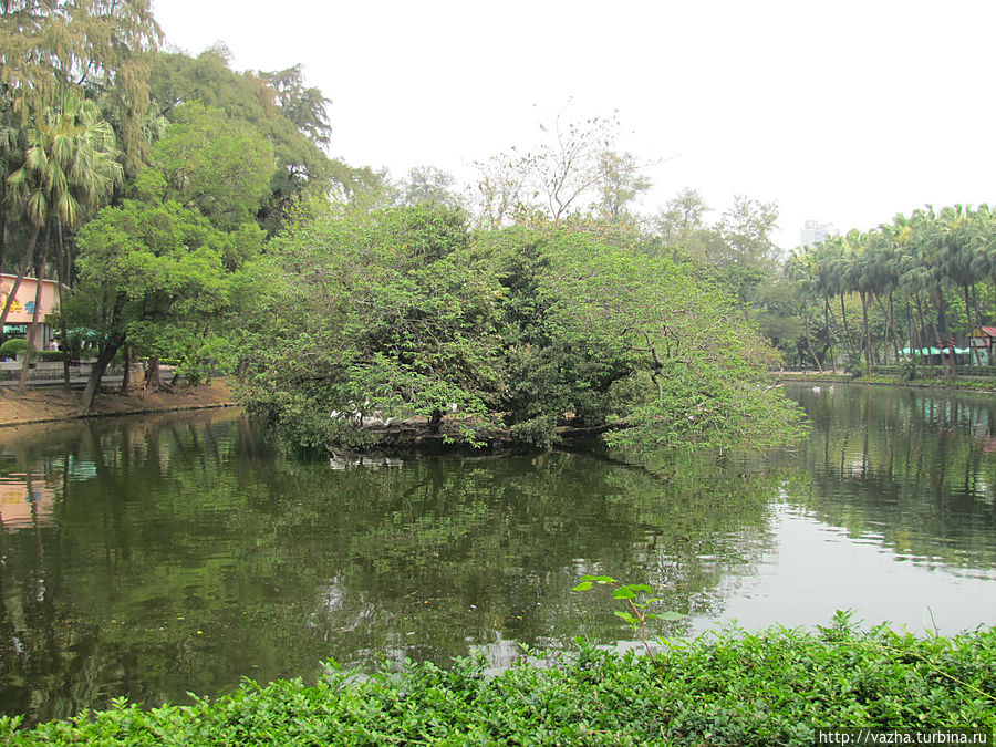 Зоопарк Гуанджоу Гуанчжоу, Китай