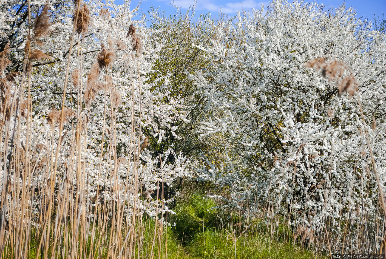 Daugavgrīvas Cietoksnis Рига, Латвия