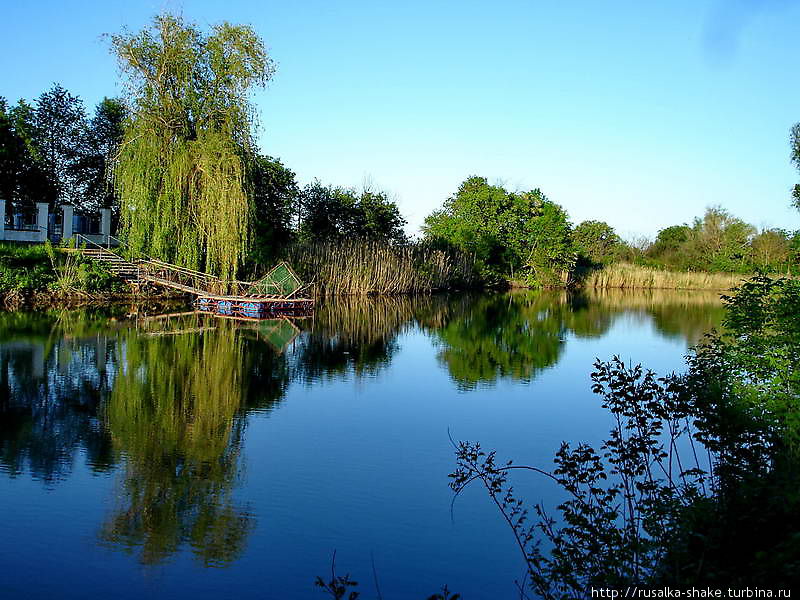 Мертвый Донец — живая вода Недвиговка, Россия