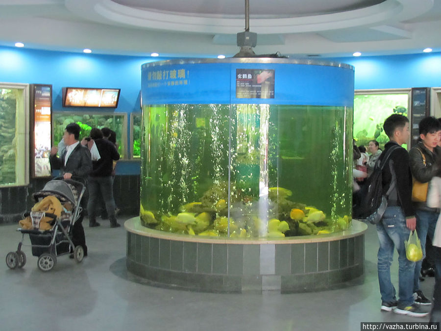 Зоопарк Шанхая Шанхай, Китай