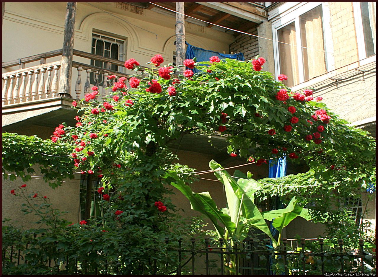 Уголок старого Тбилиси