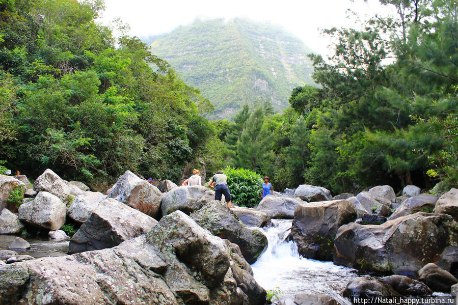 Логово без чудовищ Реюньон