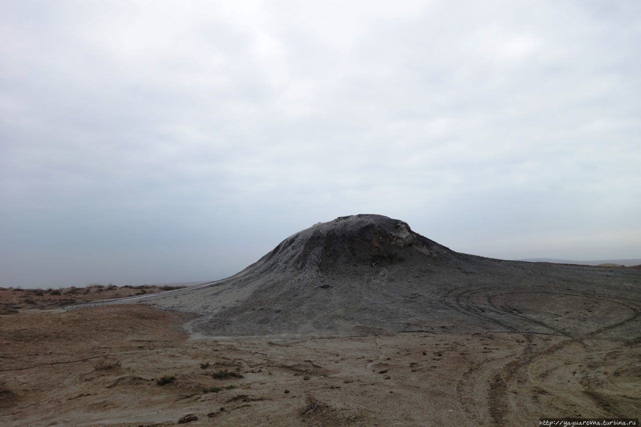 Бонус по дороге к грязевым вулканам — волкодав в догонку. Алят, Азербайджан