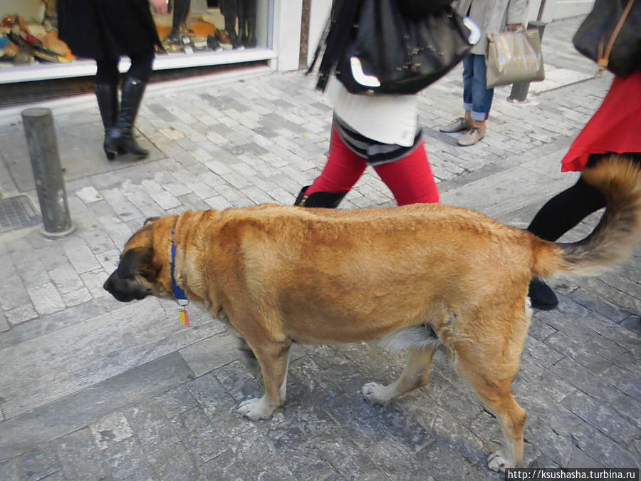 На улице Эрму Афины, Греция