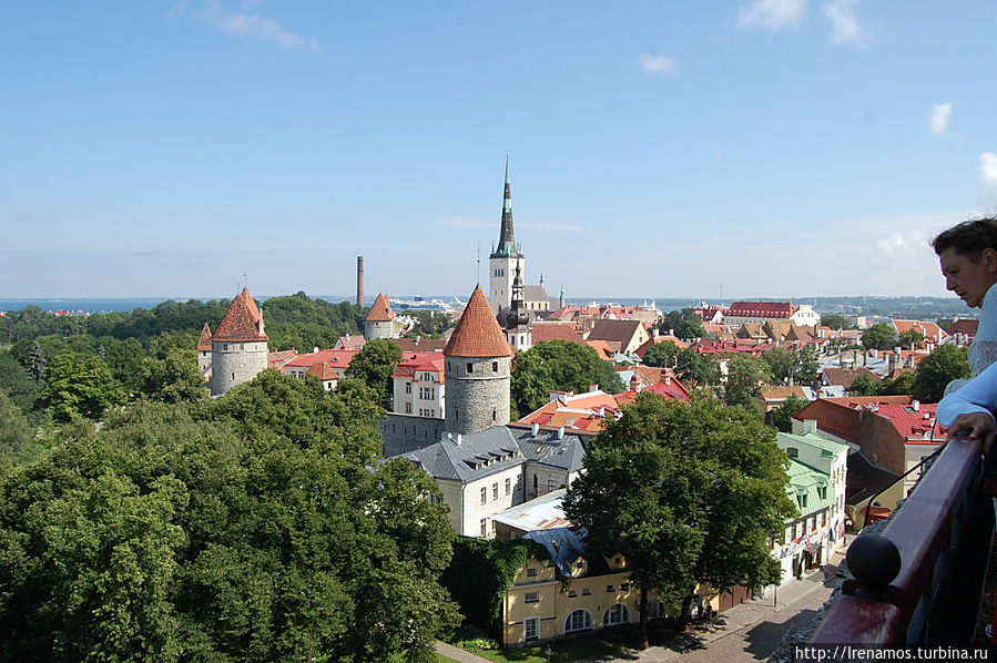 вид со второй смотровой Таллин, Эстония