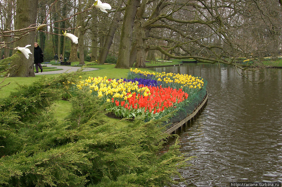Цветов много не бывает Кёкенхоф, Нидерланды