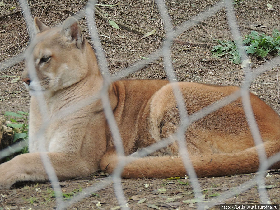 Лиссабонский ZOO-Дом Лиссабон, Португалия