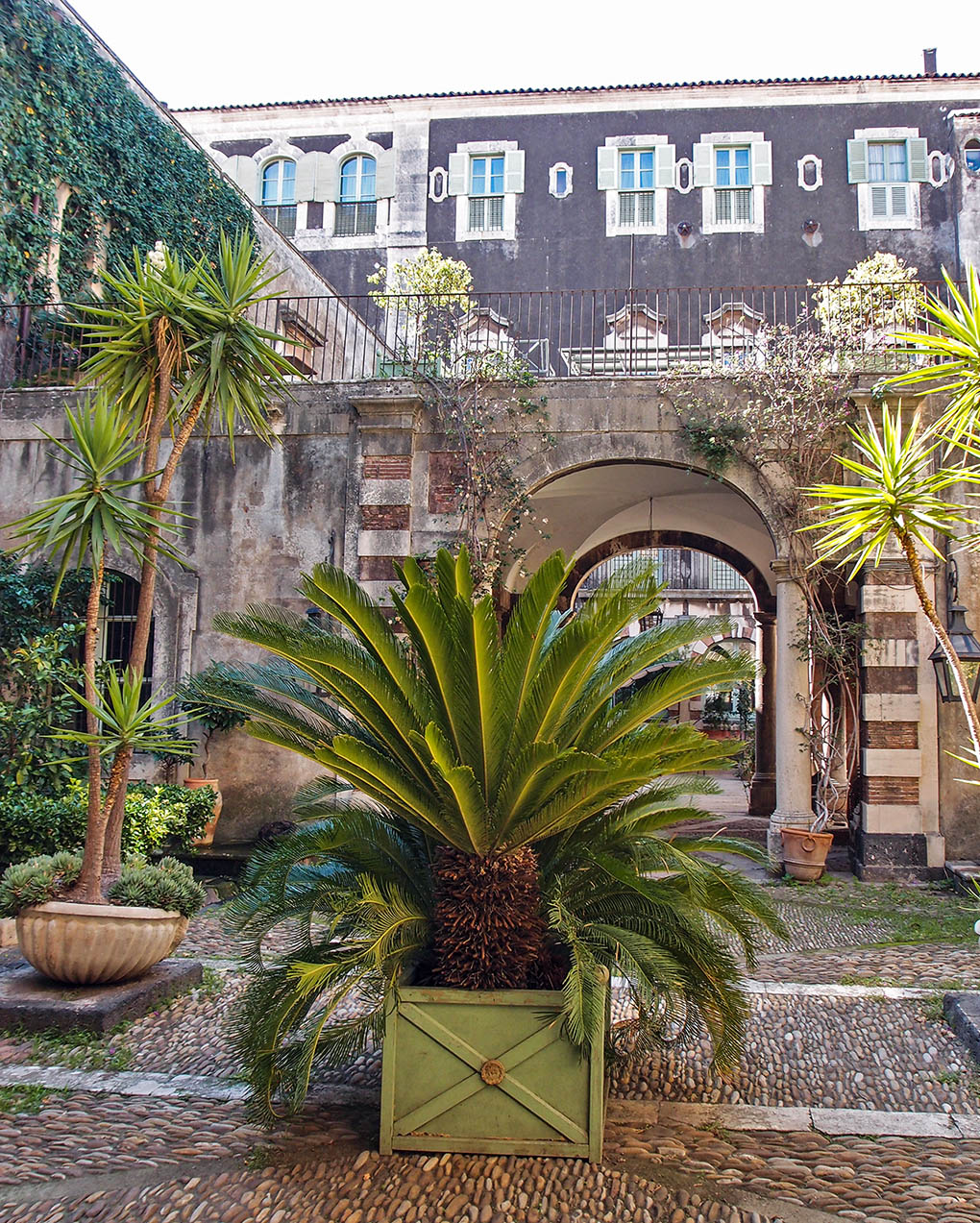 Катания Беллини Катания, Италия