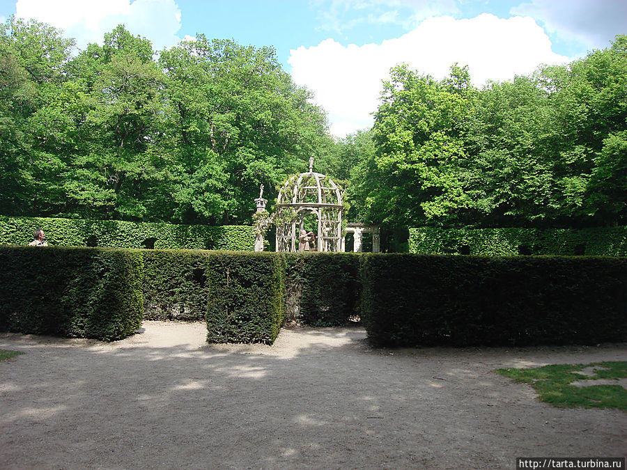Лабиринт из тисовых кустов с беседкой в центре, оплетенной живой ивой. Мотивом его создания стало желание Екатерины. Франция