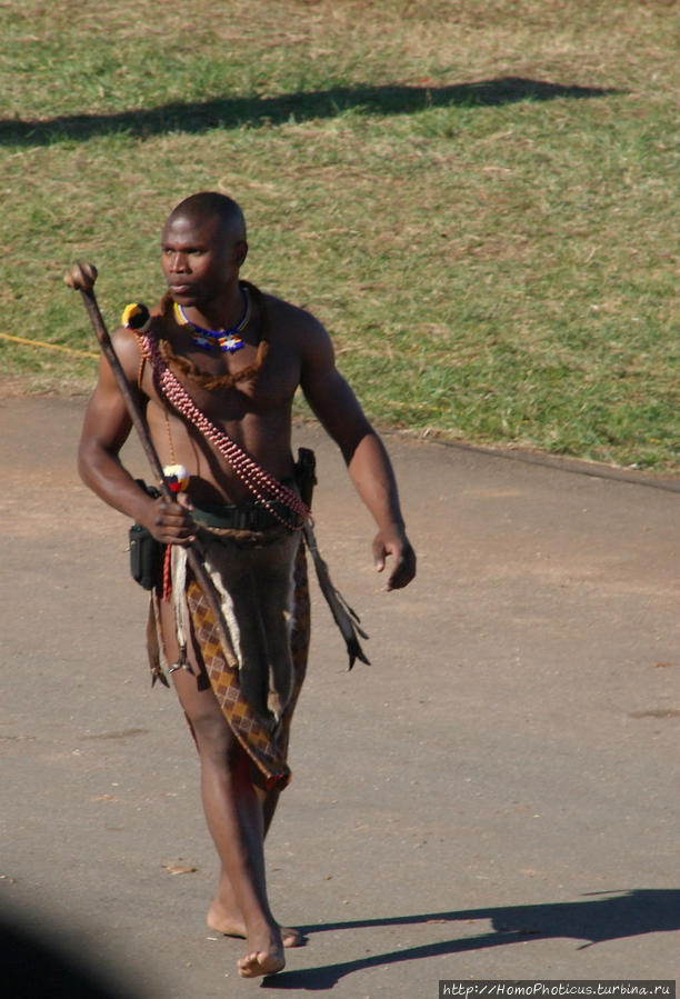 Охрана короля Лобамба, Свазиленд
