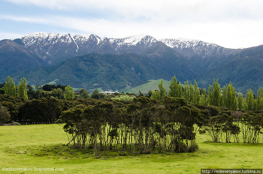Новая Зеландия. День 8. Переезд на Южный остров