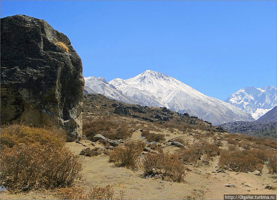 Долина Лангтанг. Самая главная природная достопримечательность долины  — это семитысячник Лантанг-Лирунг. Лангтанг, Непал