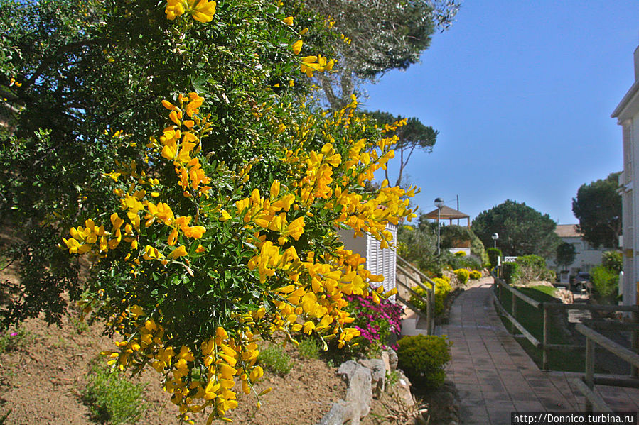 Весенний бранч на нашем дворе Каталония, Испания