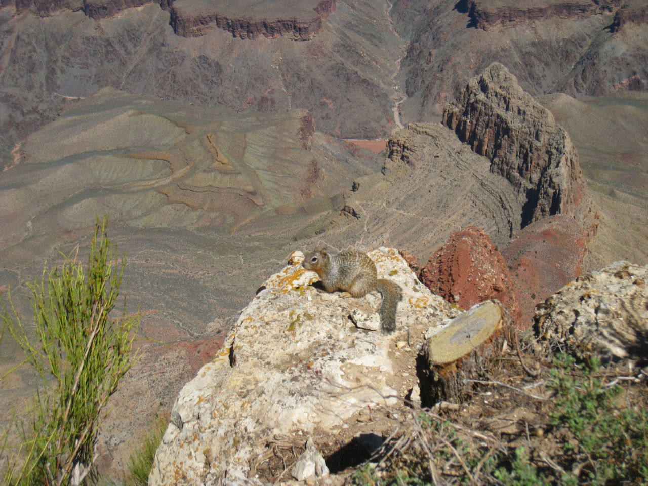 Красивые и необычные чудеса природы, Аризона, 3 часть. Национальный парк Гранд-Каньон, CША