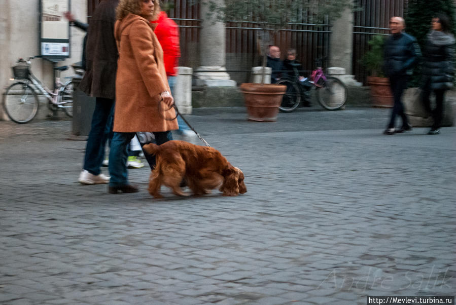 Рим вечерний Рим, Италия