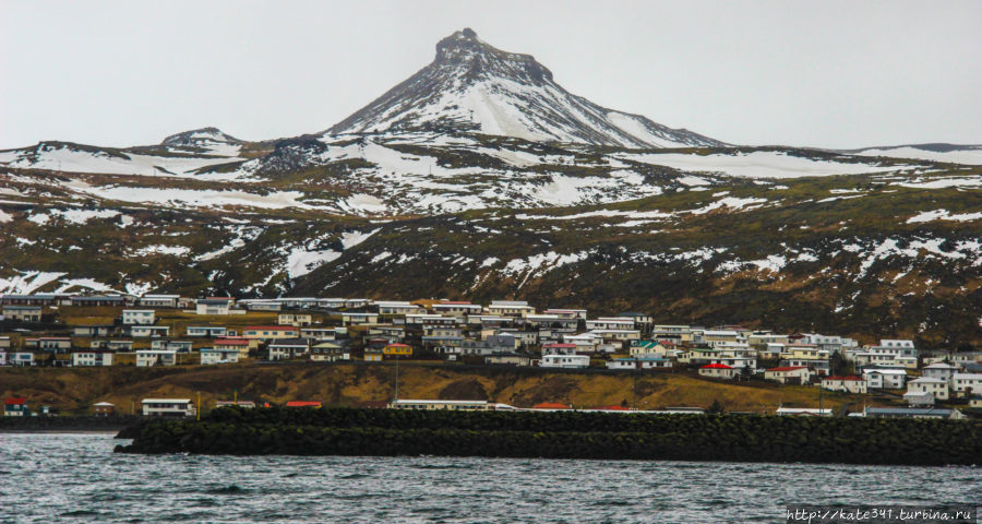 Внезапная Исландия. Пешеходная часть. День4. Олафсвик и киты Олафсвик, Исландия