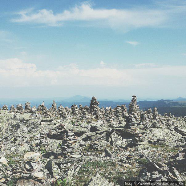 Лучшее Лето