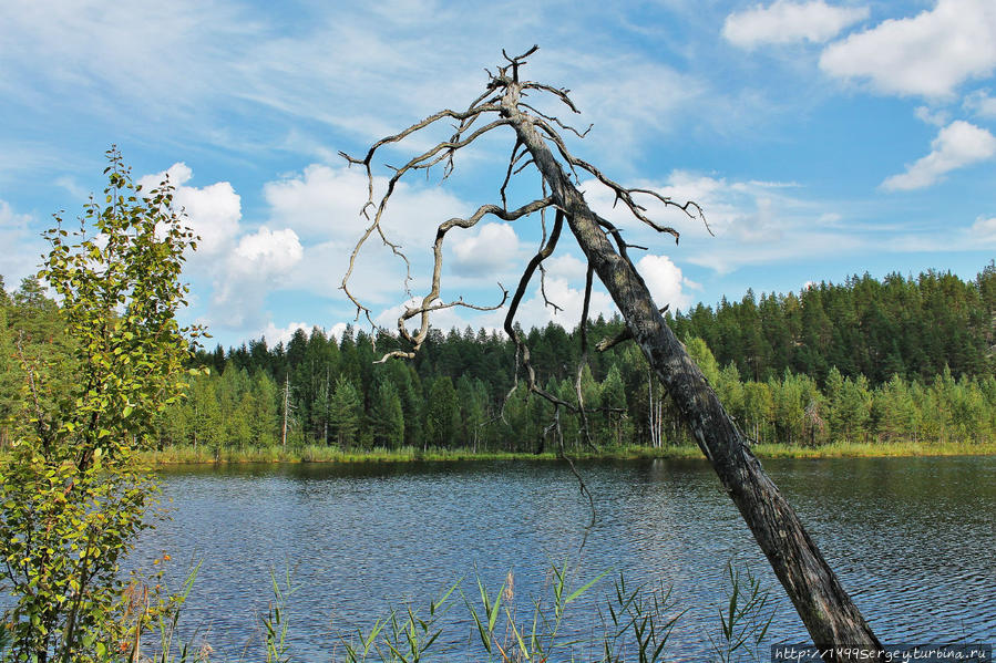 Озеро Питкяярви и его тайны Провинция Южная Карелия, Финляндия