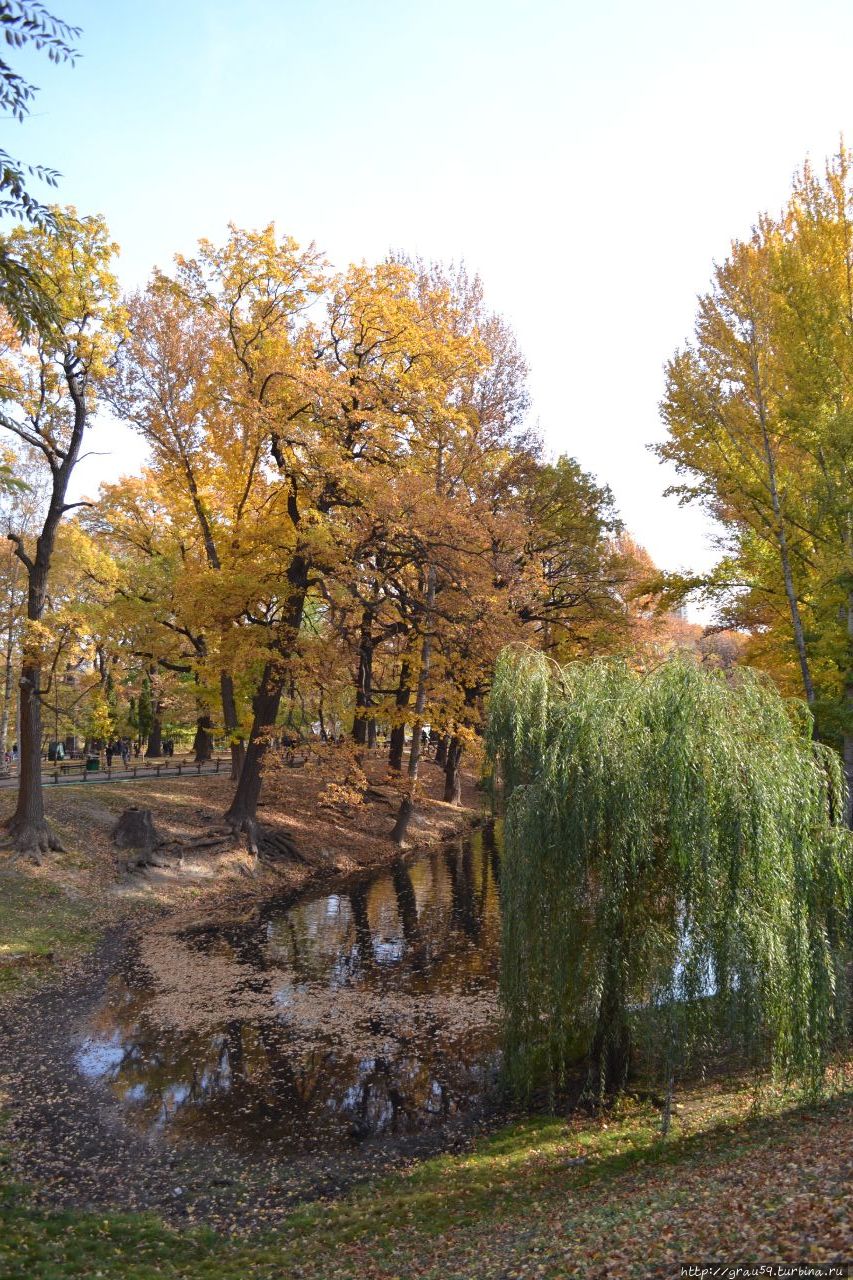 Городской парк культуры и отдыха 