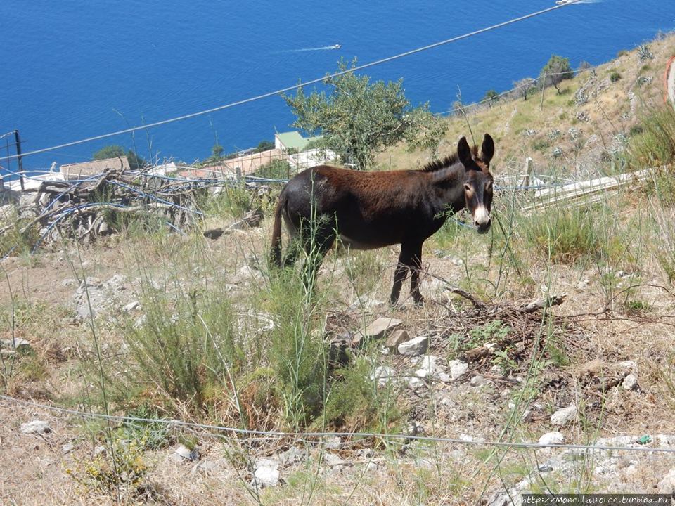 Costiera Amalfitana: от Tovere до Amalfi и Atrani Амальфи, Италия