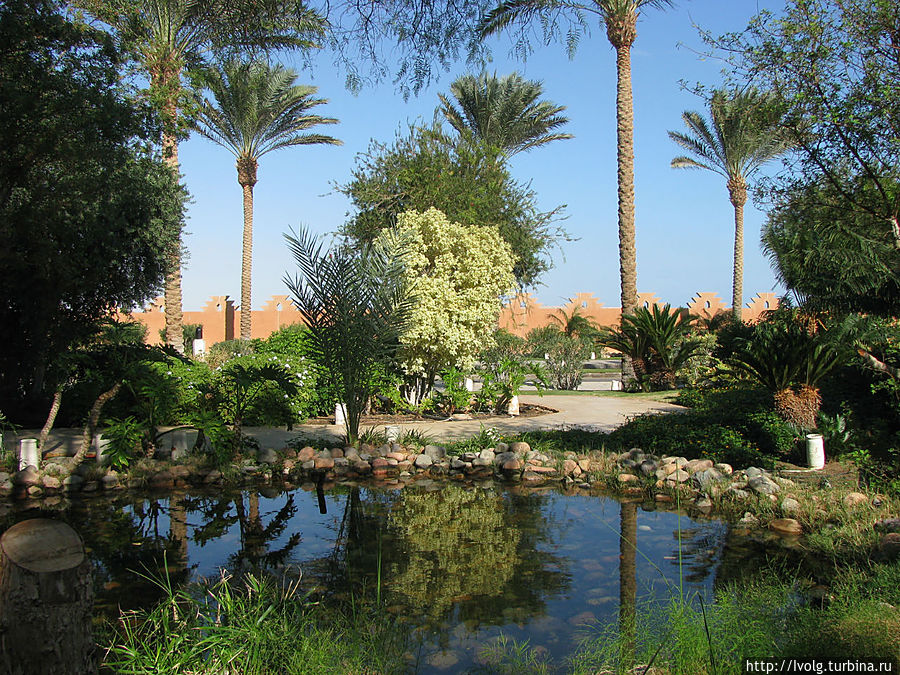 Ботанический сад Макади-Бей, Египет