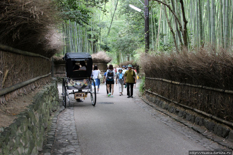 Парковый комплекс Арасияма Киото, Япония