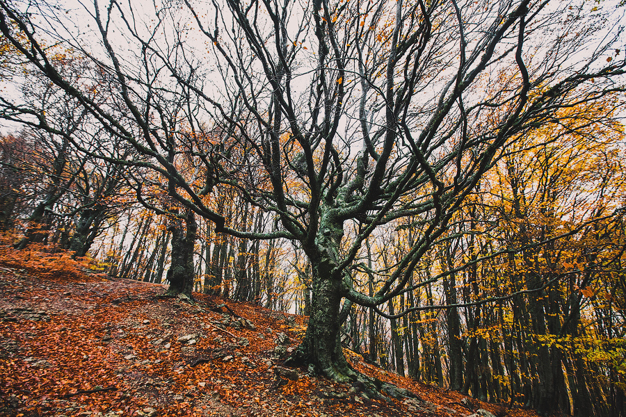 На подъеме..