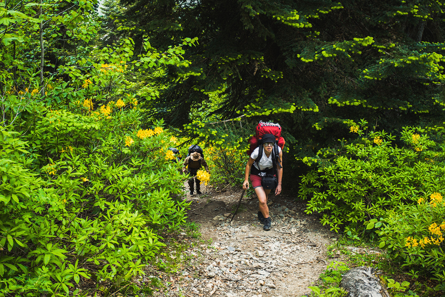 После реки тропа круто уходит вверх.. тяжело, зато быстро..