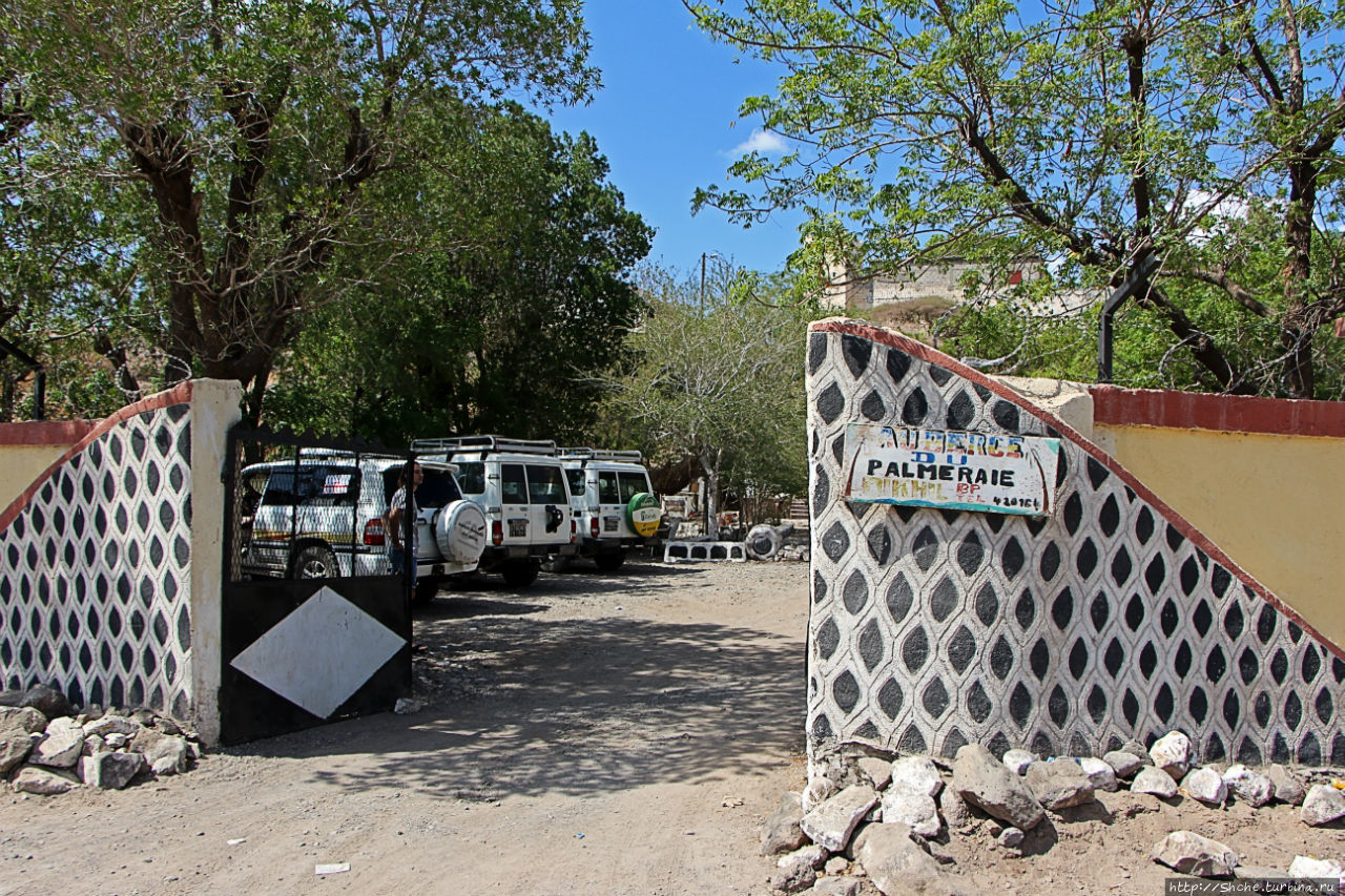 Пальмовая роща Дикиль, Джибути