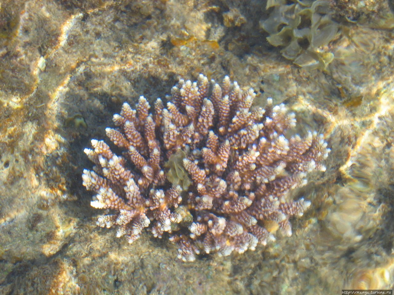 Пляж отеля Berjaya Tioman Beach Пулау-Тиоман, Малайзия