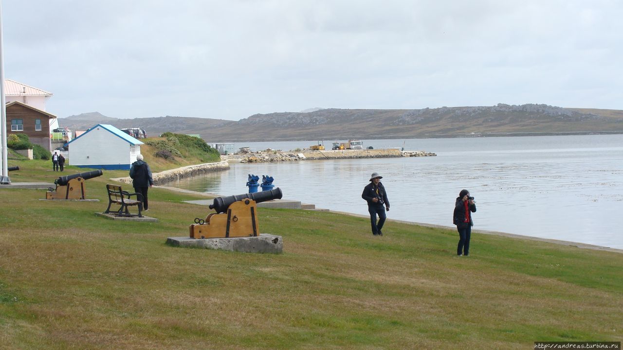 Война и пингвины Фолкленды