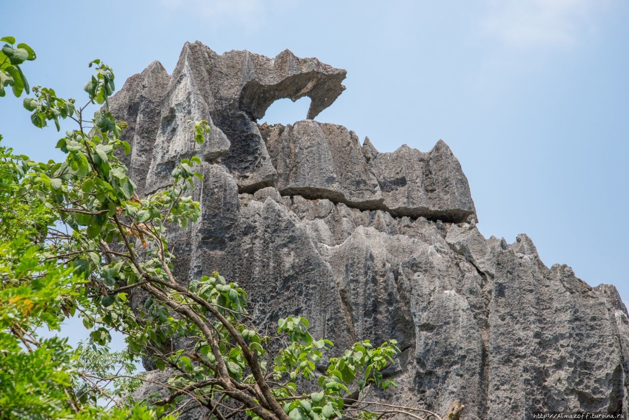 Каменный лес Шилинь Шилин, Китай
