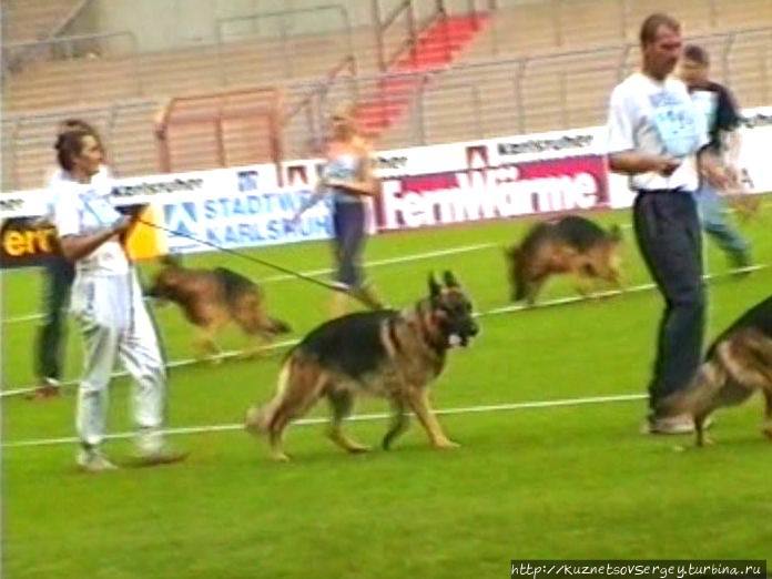 Второй день Зигера в Карлсруэ Карлсруэ, Германия