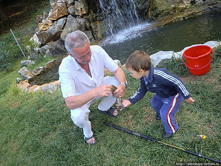Мальчик, сын хозяина, чуть не утащил нашу несчастную рыбку Центральная Македония, Греция