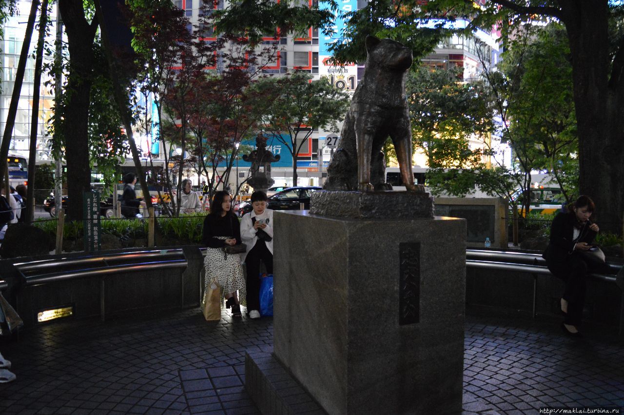 Перекресток Шибуя (Сибуя) Токио, Япония