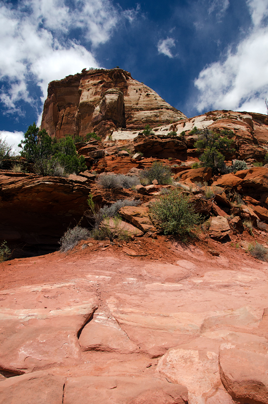 Поход к водопаду Calf Creek Falls Тропик, CША