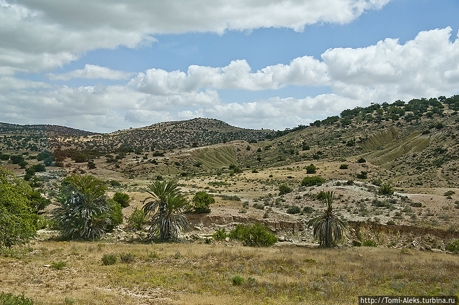 Касба — одно из самых часто встречаемых в путешествии по Марокко слов. В переводе — это — 