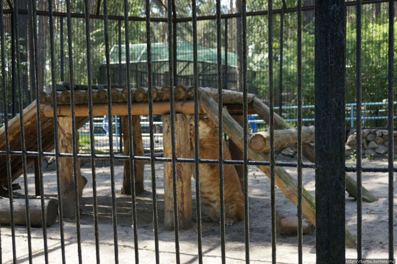 дом отдыха зоопарк