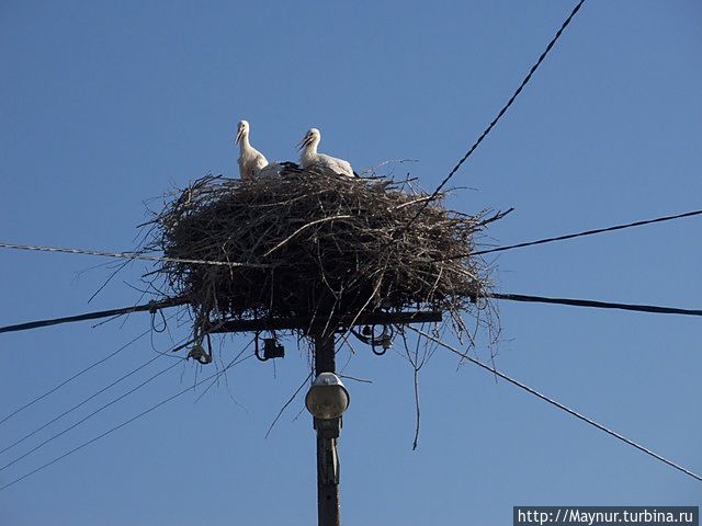 Первая встреча на земле Хорватии.