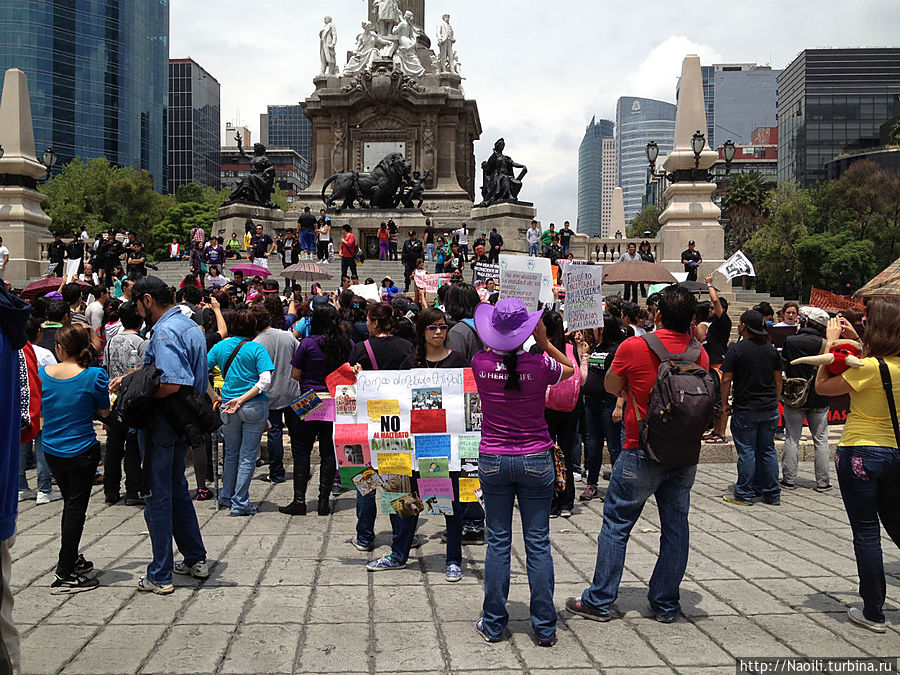 Вся площадь была заполнена протестантами в защиту прав животных. Мехико, Мексика