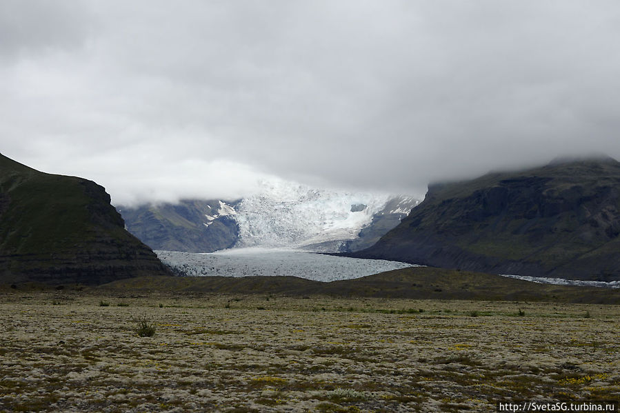 Фотопауза на очередной ледник Vatnajökull, мох и цветочки Южная Исландия, Исландия