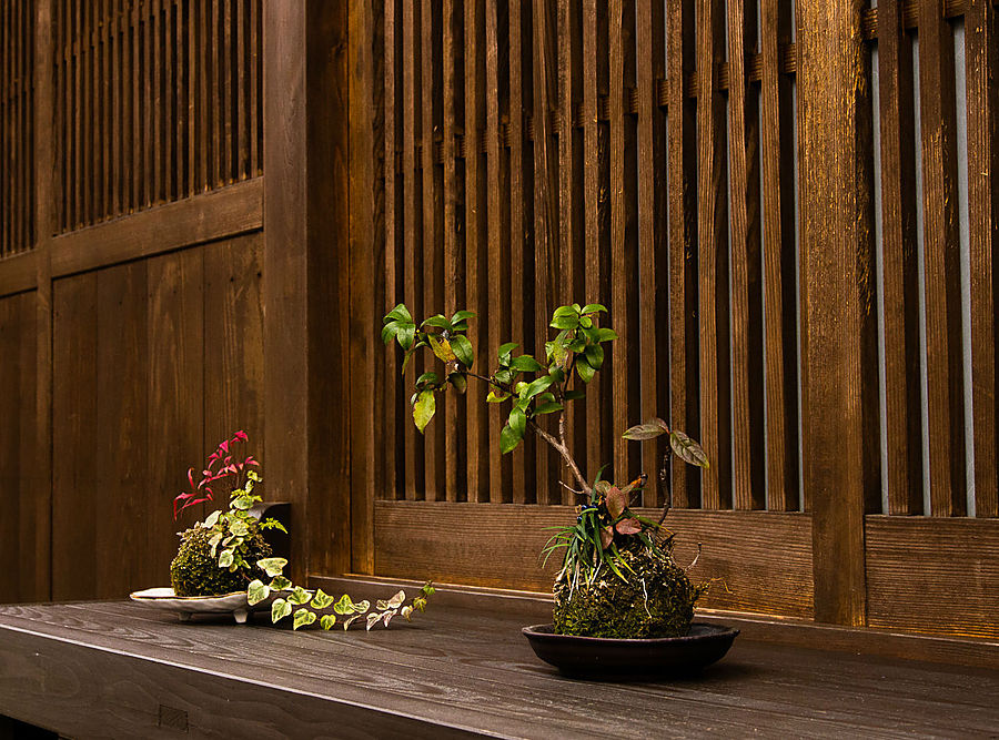 Эти лавки — похоже, какая-то отличительная черта местной архитектуры, у многих домов они есть. Утико, Япония